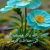 muhammadhaseeb4284