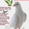 joane3012