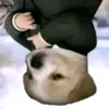 baobao_shangmoi