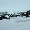 caroldejong1