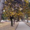 tochka598