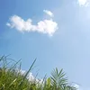 .gnz7