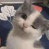 johhntz_19