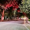 koke29672