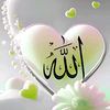shoukatiqbal558