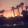 laurenxx009