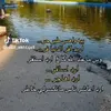 ahmed.ali23707