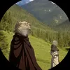 chill_guy_alpi