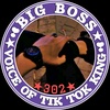 bigboss30234