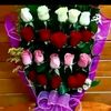 wapesujoy
