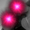mackenzieandzoe12