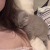 shy