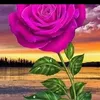 user3060089136104