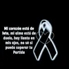 adolfina.julio.ce