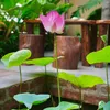.minh237