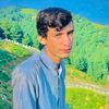 imranarman761