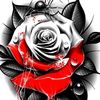 mrnornor8866777_