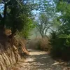 htay6392