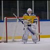 stan_thegoalie