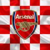 arsena850