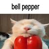 bellpepper.edits