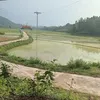 vi.vn.thng69