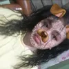 natalie.loyola2