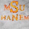 MSU_HANEM