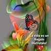 miguelpoou445