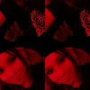 user3055921223457
