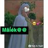 malek.mloka73