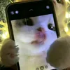 _zziru_