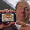 meow21115