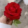 user1142907019161