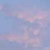 littleknight12