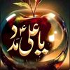 faisalabbas0818