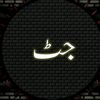 kaneezan_e_zahra