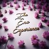 the_enoexperience