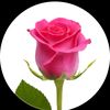 usname1234030