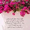 user9534614679578