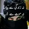 saeed.anwar217