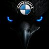 sakressahraa