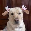 mariamercedes9907