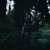 revlmsounds