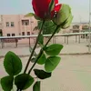 user9381860561517