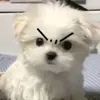 savestix_