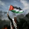 __freepalestine