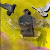 reyyan.gujjar.85