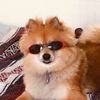 charlez603