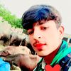 shbazail1